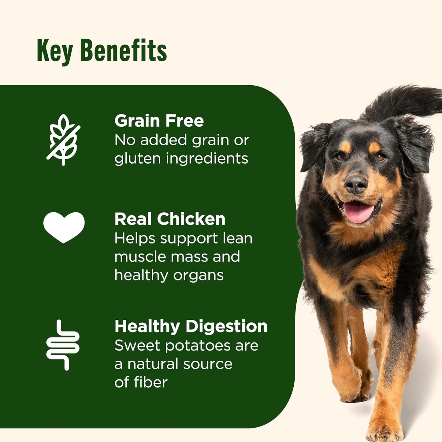 Grain-Free Chicken & Sweet Potato Dry Dog Food