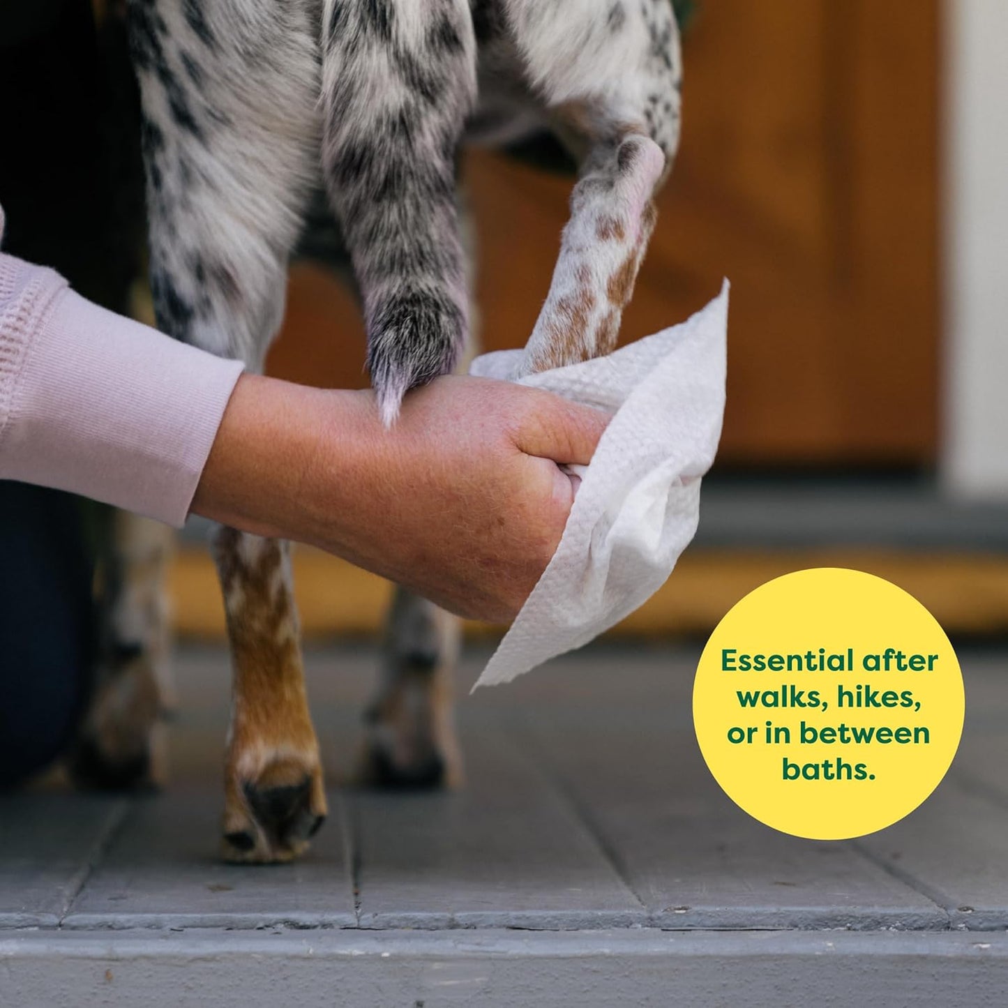 USDA-Certified Hypoallergenic Pet Wipes