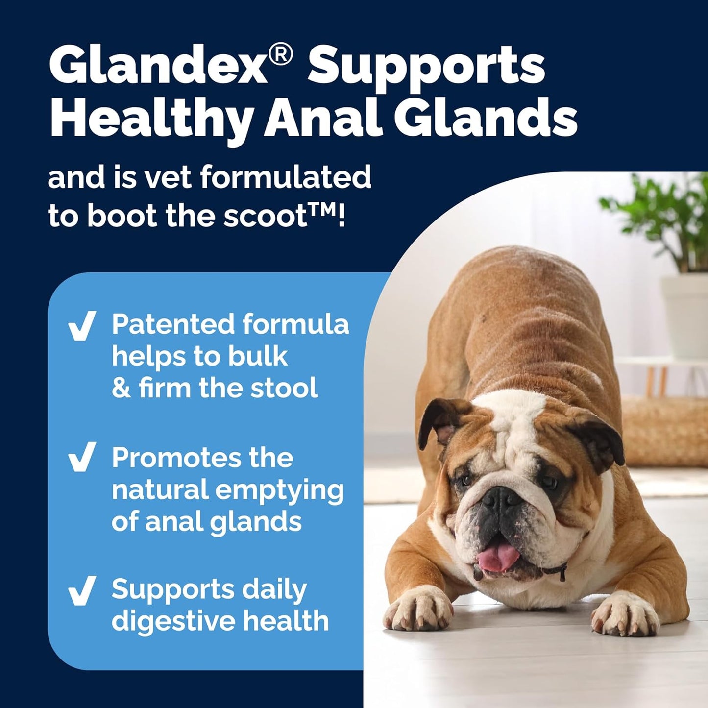 Glandex “Boot the Scoot” Pumpkin Soft Chews